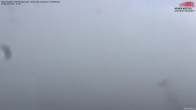 Archived image Webcam Hoher Kasten - View to the Rheintal 11:00
