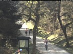 Archiv Foto Webcam Weitersglashütte: Hotel Kranichsee 09:00