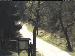 Archived image Webcam Weitersglashuette - Hotel Kranichsee 11:00