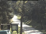 Archived image Webcam Weitersglashuette - Hotel Kranichsee 13:00