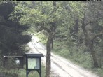 Archiv Foto Webcam Weitersglashütte: Hotel Kranichsee 09:00