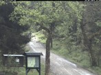 Archived image Webcam Weitersglashuette - Hotel Kranichsee 11:00