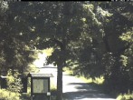 Archiv Foto Webcam Weitersglashütte: Hotel Kranichsee 13:00