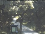 Archiv Foto Webcam Weitersglashütte: Hotel Kranichsee 15:00