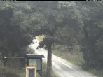 Archiv Foto Webcam Weitersglashütte: Hotel Kranichsee 11:00