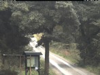 Archiv Foto Webcam Weitersglashütte: Hotel Kranichsee 13:00