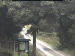 Archived image Webcam Weitersglashuette - Hotel Kranichsee 09:00