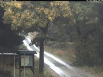Archiv Foto Webcam Weitersglashütte: Hotel Kranichsee 09:00