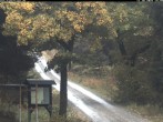 Archiv Foto Webcam Weitersglashütte: Hotel Kranichsee 13:00