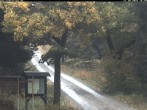 Archiv Foto Webcam Weitersglashütte: Hotel Kranichsee 15:00