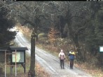Archived image Webcam Weitersglashuette - Hotel Kranichsee 09:00