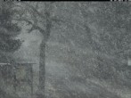 Archived image Webcam Weitersglashuette - Hotel Kranichsee 11:00