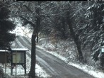 Archived image Webcam Weitersglashuette - Hotel Kranichsee 15:00