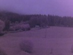 Archiv Foto Webcam Tragöß Angererhof - Blick in Richtung Süden 03:00