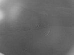 Archiv Foto Webcam Tragöß Angererhof - Blick in Richtung Süden 21:00