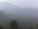 Archiv Foto Webcam Tragöß Angererhof - Blick in Richtung Süden 06:00