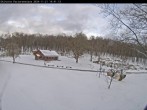 Archived image Webcam Hallenberg - Pastorenwiese 13:00