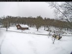 Archiv Foto Webcam Wunderthausen - Pastorenwiese 09:00