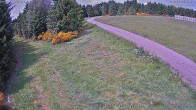 Archiv Foto Webcam Girkhausen - Auf der Steinert 11:00