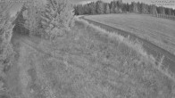 Archiv Foto Webcam Girkhausen - Auf der Steinert 03:00