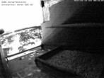 Archived image Webcam Peregrine Falcon - St. Peter Cathedral 18:00