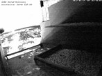 Archived image Webcam Peregrine Falcon - St. Peter Cathedral 20:00