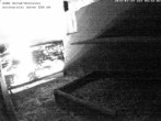 Archived image Webcam Peregrine Falcon - St. Peter Cathedral 03:00