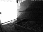 Archived image Webcam Peregrine Falcon - St. Peter Cathedral 01:00