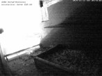 Archived image Webcam Peregrine Falcon - St. Peter Cathedral 03:00