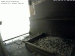 Archived image Webcam Peregrine Falcon - St. Peter Cathedral 05:00