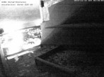 Archived image Webcam Peregrine Falcon - St. Peter Cathedral 01:00