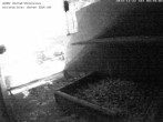 Archived image Webcam Peregrine Falcon - St. Peter Cathedral 03:00