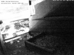 Archived image Webcam Peregrine Falcon - St. Peter Cathedral 23:00