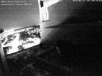 Archiv Foto Webcam Wormser Dom - Wanderfalken 19:00