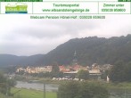 Archiv Foto Webcam Bad Schandau - Elbufer 11:00