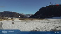 Archiv Foto Webcam Moorgebiet Schwemm am Walchsee 14:00