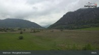 Archiv Foto Webcam Moorgebiet Schwemm am Walchsee 08:00
