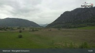 Archiv Foto Webcam Moorgebiet Schwemm am Walchsee 12:00