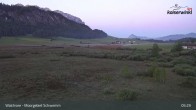 Archiv Foto Webcam Moorgebiet Schwemm am Walchsee 04:00