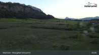 Archiv Foto Webcam Moorgebiet Schwemm am Walchsee 02:00