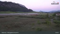 Archiv Foto Webcam Moorgebiet Schwemm am Walchsee 04:00