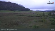 Archiv Foto Webcam Moorgebiet Schwemm am Walchsee 02:00