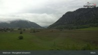 Archiv Foto Webcam Moorgebiet Schwemm am Walchsee 08:00