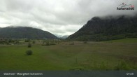 Archiv Foto Webcam Moorgebiet Schwemm am Walchsee 07:00