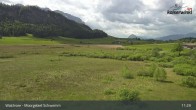 Archiv Foto Webcam Moorgebiet Schwemm am Walchsee 10:00