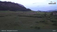Archiv Foto Webcam Moorgebiet Schwemm am Walchsee 04:00