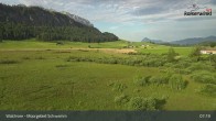 Archiv Foto Webcam Moorgebiet Schwemm am Walchsee 06:00