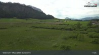 Archiv Foto Webcam Moorgebiet Schwemm am Walchsee 10:00