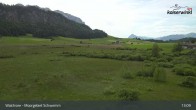 Archiv Foto Webcam Moorgebiet Schwemm am Walchsee 12:00