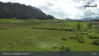 Archiv Foto Webcam Moorgebiet Schwemm am Walchsee 14:00